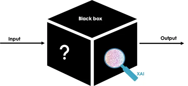 Black box ai mechanism