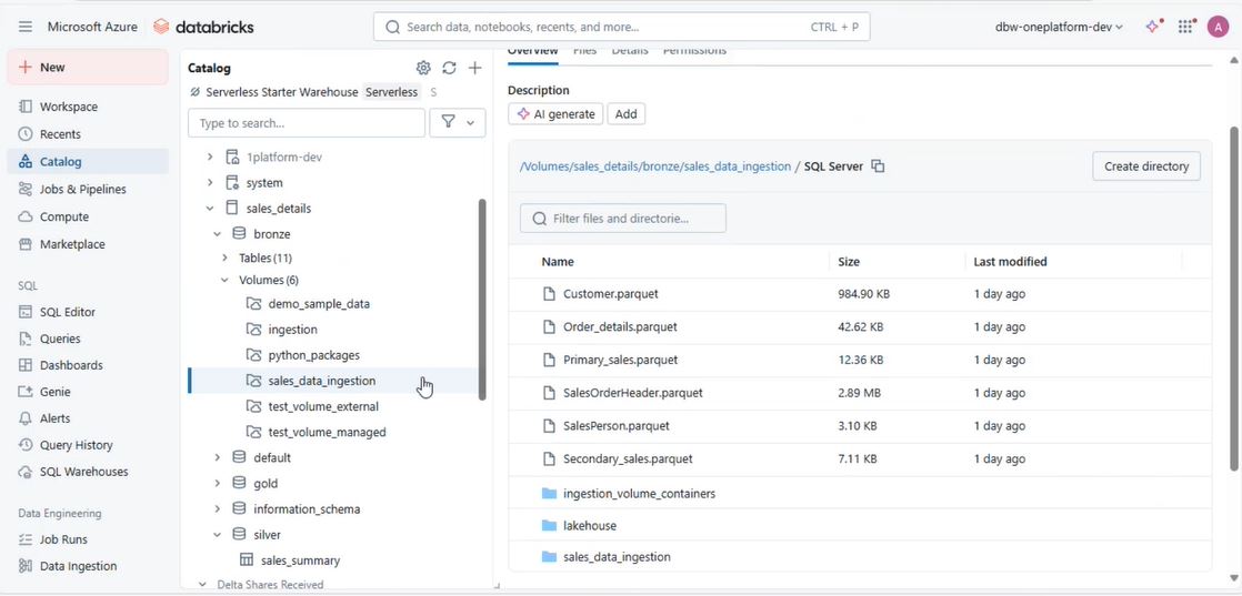 Databricks Sales Ingestion Catalog