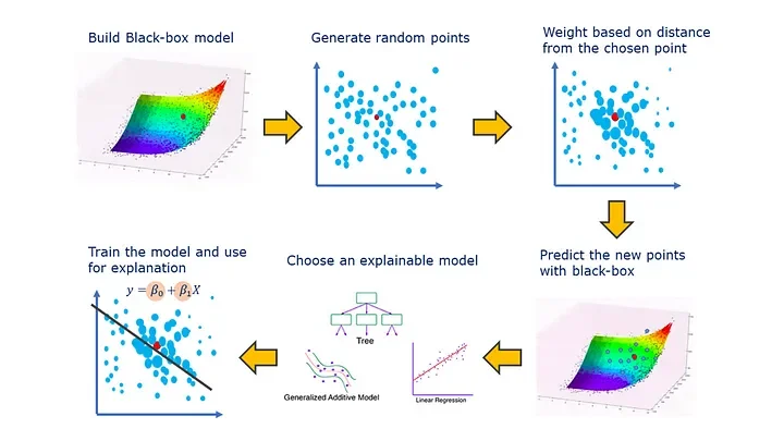 Steps of the LIME algorithm. 