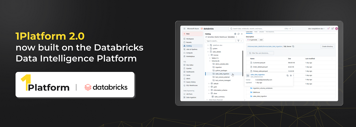  Databricks Data Intelligence Platform